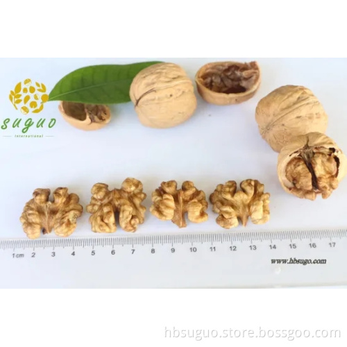 Northern Walnut Kernel & Whole Half Walnut Kernel